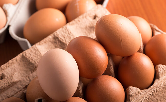 プリンは伏見稲荷のお土産です